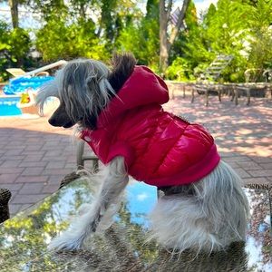 Dog’s  Jacket. Very glamorous, in perfect condition .